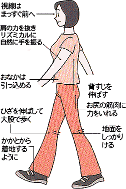 イラスト図解 ひざに負担をかけない正しい姿勢や動作 立ち方 歩き方 座り方