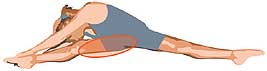 ひざの内側を伸ばす柔軟体操