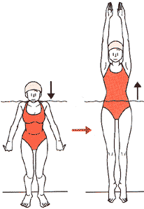 膝の負担が少ない水中運動のやり方 プールで行うウォーキングや体操法